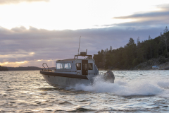 Invessel Vector ProBoat 